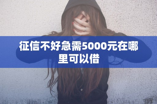 征信不好急需5000元在哪里可以借