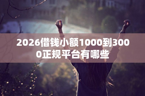 2026借钱小额1000到3000正规平台有哪些