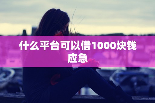 什么平台可以借1000块钱应急