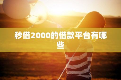 秒借2000的借款平台有哪些