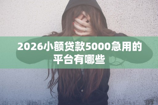 2026小额贷款5000急用的平台有哪些