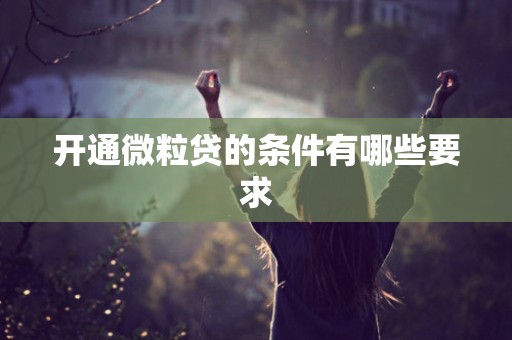 开通微粒贷的条件有哪些要求