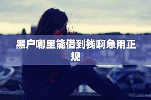 黑户哪里能借到钱啊急用正规