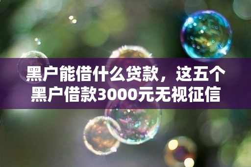 黑户能借什么贷款,这五个黑户借款3000元无视征信的口子叫什么名字 黑户能借什么贷款,这五个黑户借款3000元无视征信的口子叫什么名字
