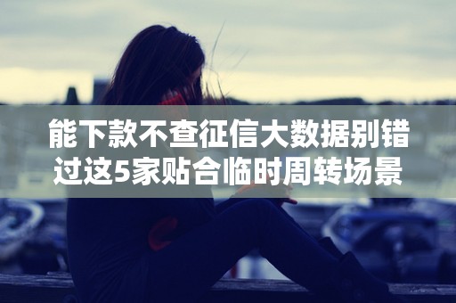 能下款不查征信大数据别错过这5家贴合临时周转场景的网贷平台口子 能下款不查征信大数据别错过这5家贴合临时周转场景的网贷平台口子