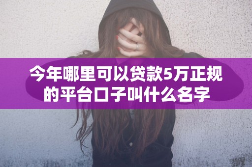 今年哪里可以贷款5万正规的平台口子叫什么名字
