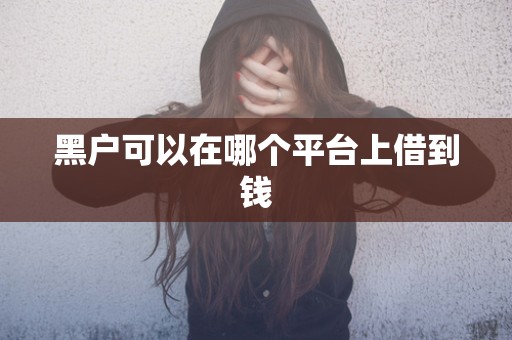 黑户可以在哪个平台上借到钱