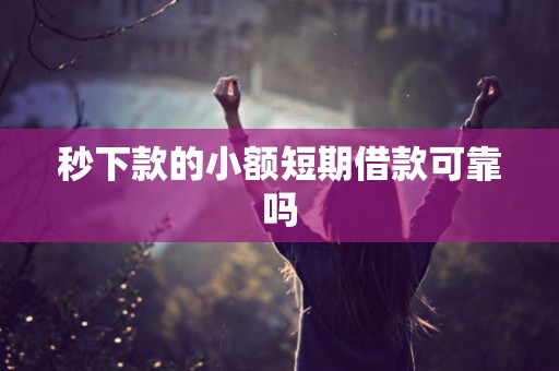 秒下款的小额短期借款可靠吗