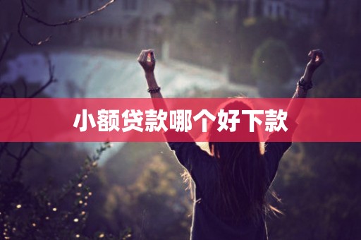 小额贷款哪个好下款