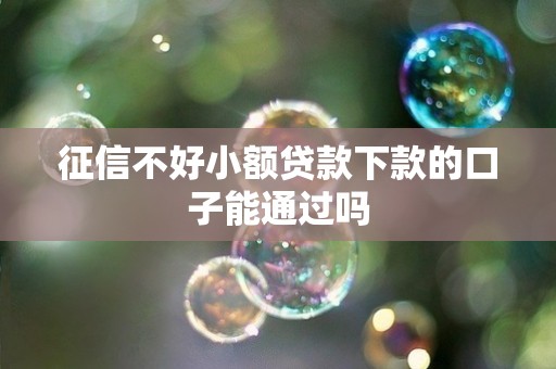 征信不好小额贷款下款的口子能通过吗