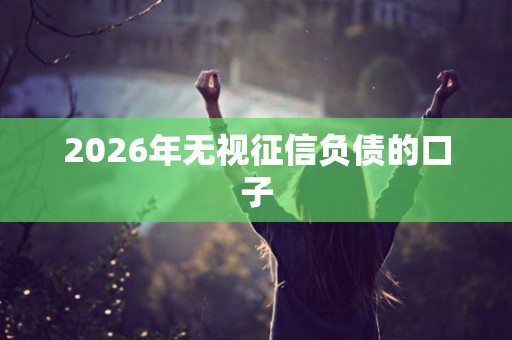 2026年无视征信负债的口子 2026年无视征信负债的口子