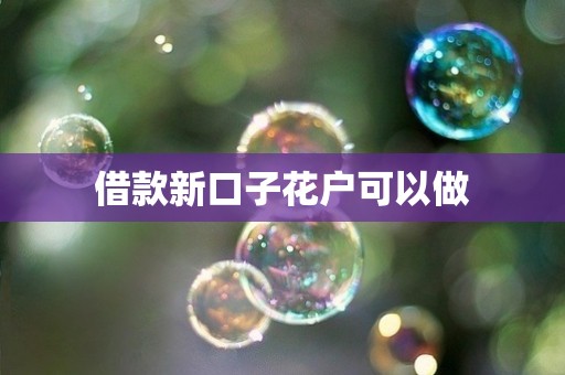 借款新口子花户可以做