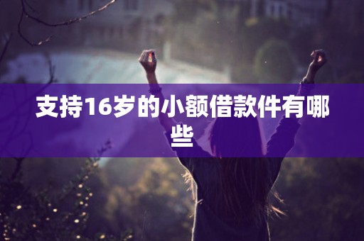 支持16岁的小额借款件有哪些