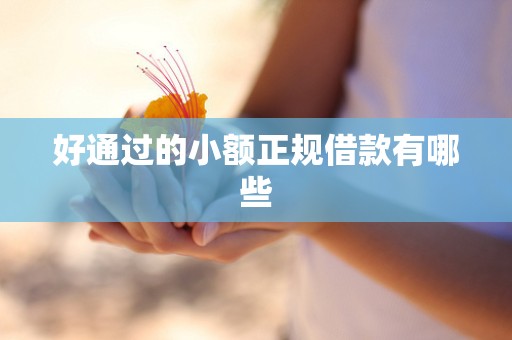 好通过的小额正规借款有哪些