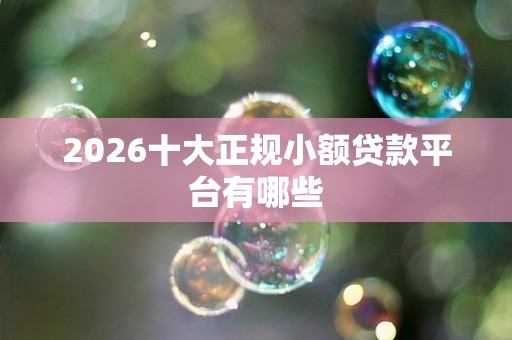 2026十大正规小额贷款平台有哪些